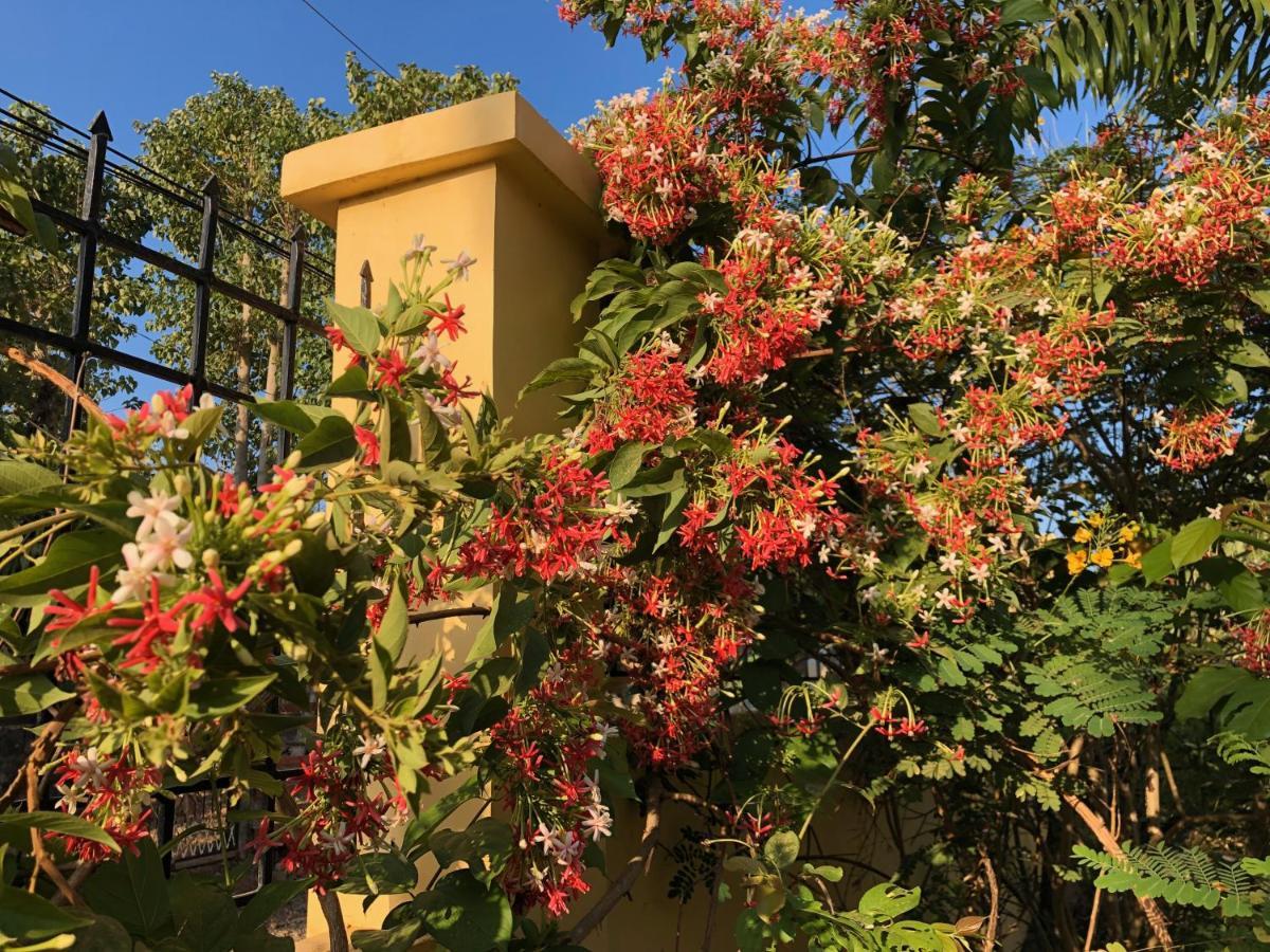 Strutz Art Garden Resort Bangued Dış mekan fotoğraf